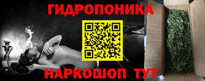 крисы Рязань