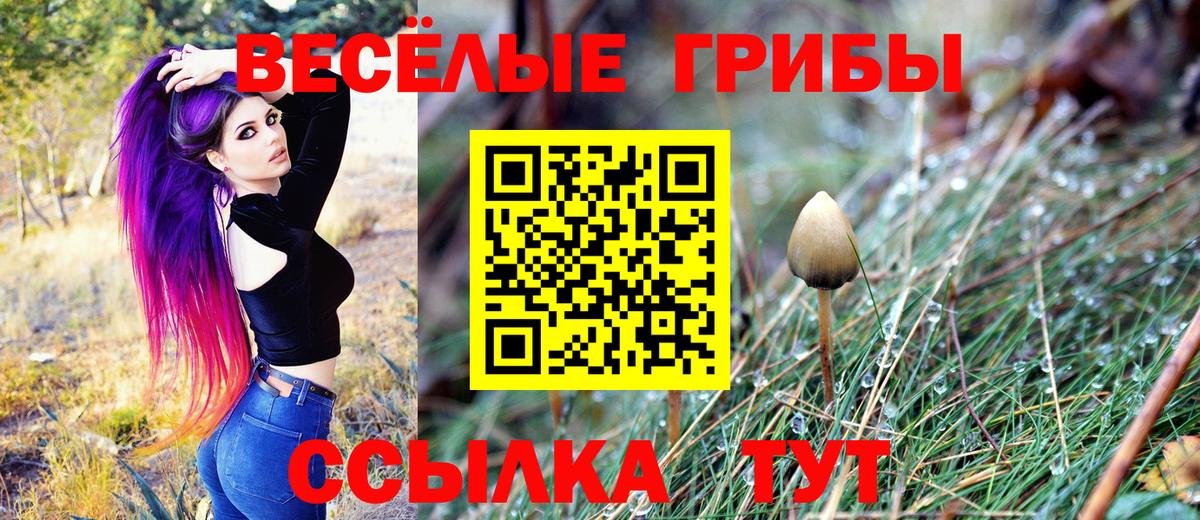 Псилоцибиновые грибы GOLDEN TEACHER Рязань