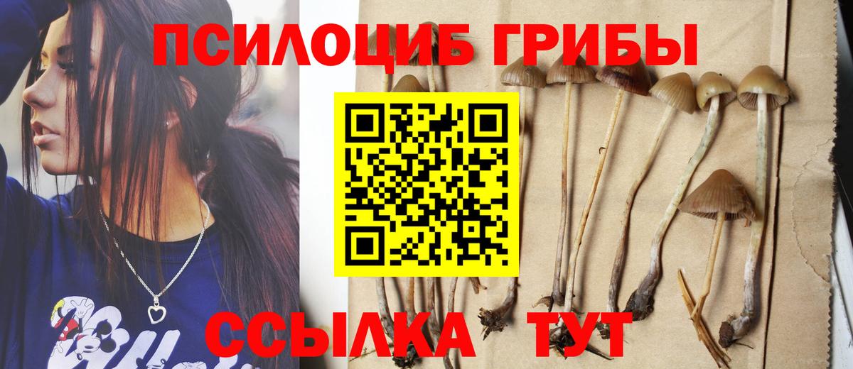 Рязань  Псилоцибиновые грибы GOLDEN TEACHER  Вход с VPN 